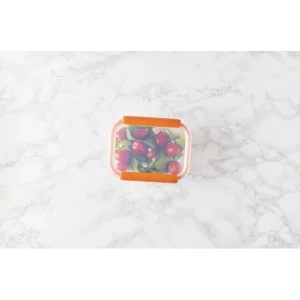 Boîte De Conservation Connectée 640 Ml Orange Stor’eat Mastrad marque pas cher 14